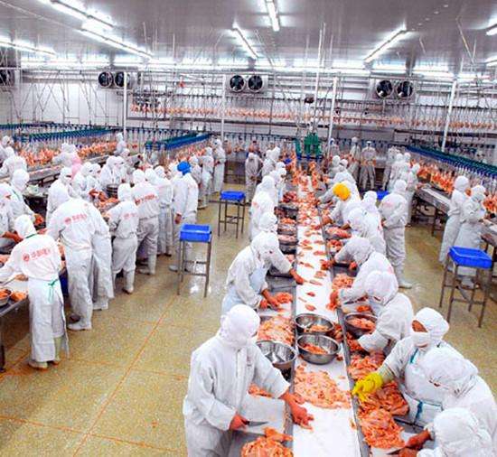 中央廚房是什么意思