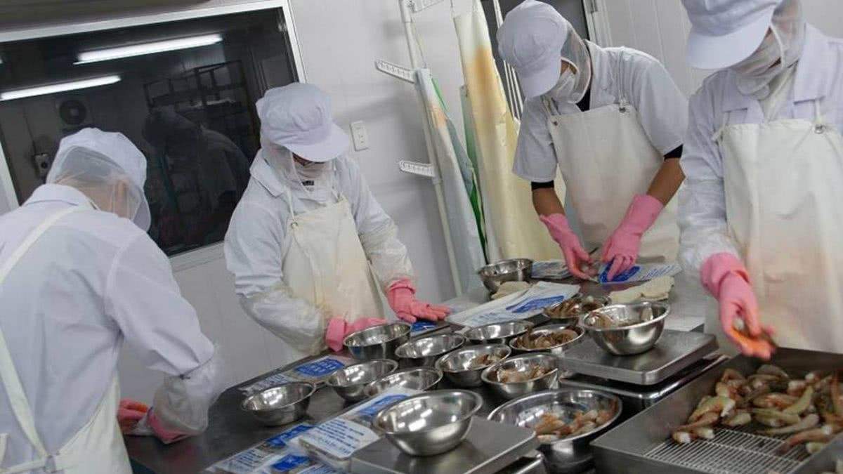 海鮮粗加工間-奇能設計百科