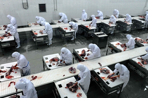 五星級酒店廚房布局