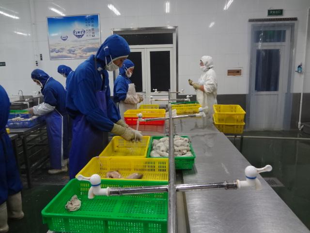 酒店廚房設備應該怎么布置 需要哪些設備呢