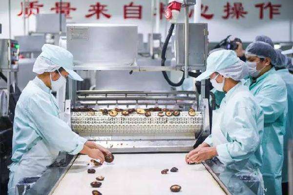 包子生產(chǎn)線-奇能設(shè)計百科